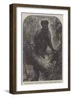 The New Monkey in the Zoological Society's Gardens, Regent's Park-null-Framed Giclee Print
