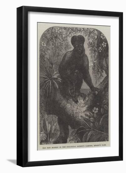 The New Monkey in the Zoological Society's Gardens, Regent's Park-null-Framed Premium Giclee Print