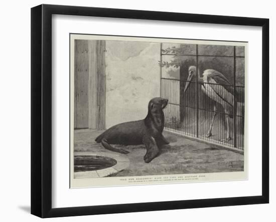 The New Neighbour, Cape Sea Lion and Adjutant Bird-Henry Stacey Marks-Framed Giclee Print