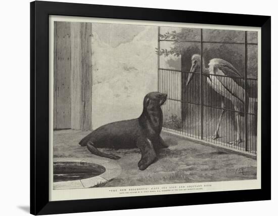 The New Neighbour, Cape Sea Lion and Adjutant Bird-Henry Stacey Marks-Framed Giclee Print