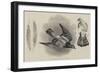 The New Paris Letter Carrier-null-Framed Giclee Print