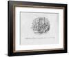 'The New Police Act', 1829-George Cruikshank-Framed Giclee Print