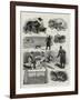 The New Police Regulations for Dogs-null-Framed Giclee Print