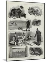 The New Police Regulations for Dogs-null-Mounted Giclee Print