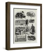 The New Police Regulations for Dogs-null-Framed Giclee Print