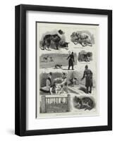 The New Police Regulations for Dogs-null-Framed Giclee Print