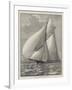The New Racing-Yacht Thistle, Built on the Clyde-null-Framed Giclee Print