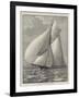 The New Racing-Yacht Thistle, Built on the Clyde-null-Framed Giclee Print