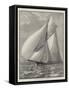 The New Racing-Yacht Thistle, Built on the Clyde-null-Framed Stretched Canvas