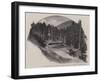 The New Railway Through the Harz Mountains, the Station, Steinerne Renne-null-Framed Giclee Print