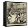 The New Reptile House at the Zoological Gardens-null-Framed Stretched Canvas