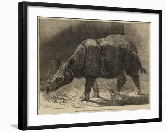 The New Rhinoceros in the Gardens of the Zoological Society-null-Framed Giclee Print