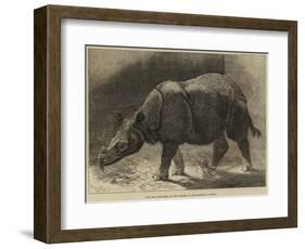 The New Rhinoceros in the Gardens of the Zoological Society-null-Framed Giclee Print