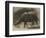 The New Rhinoceros in the Gardens of the Zoological Society-null-Framed Giclee Print