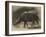 The New Rhinoceros in the Gardens of the Zoological Society-null-Framed Giclee Print