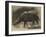 The New Rhinoceros in the Gardens of the Zoological Society-null-Framed Giclee Print