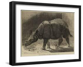 The New Rhinoceros in the Gardens of the Zoological Society-null-Framed Giclee Print