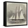 The New Schooner Yacht Livonia-Edwin Weedon-Framed Stretched Canvas