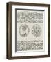 The New Silver Florin-null-Framed Premium Giclee Print