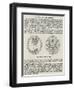 The New Silver Florin-null-Framed Premium Giclee Print