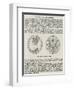 The New Silver Florin-null-Framed Premium Giclee Print