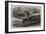 The New Snake-Eating Snake (Ophiophagus Elaps) at the Zoological Gardens-null-Framed Giclee Print