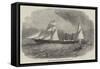 The New Spanish Royal Mail Steam-Ship El Rey D Jayme II-Edwin Weedon-Framed Stretched Canvas