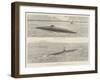 The New Spanish Submarine Torpedo-Vessel, El Peral, at Cadiz-null-Framed Giclee Print