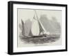 The New Sporting Yacht Rifleman-null-Framed Giclee Print