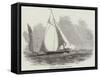 The New Sporting Yacht Rifleman-null-Framed Stretched Canvas