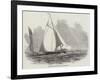 The New Sporting Yacht Rifleman-null-Framed Giclee Print