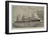 The New Steam-Ship Orient, of the Orient Steam Navigation Company's Line, for Australia-null-Framed Giclee Print