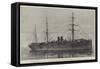 The New Steam-Ship Portugal-null-Framed Stretched Canvas