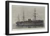 The New Steam-Ship Portugal-null-Framed Giclee Print