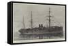 The New Steam-Ship Portugal-null-Framed Stretched Canvas