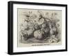 The New Strawberry, Sir Harry-null-Framed Giclee Print
