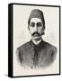 The New Sultan of Turkey, Hamid II, 1876-null-Framed Stretched Canvas