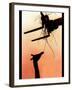 The New Telescopic Forklift Truck with the Giraffe, August 1998-null-Framed Photographic Print