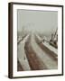 The New Vauxhall Bridge Looking North Towards Victoria, London, 1906-null-Framed Photographic Print