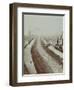 The New Vauxhall Bridge Looking North Towards Victoria, London, 1906-null-Framed Photographic Print