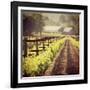 The New Vintage-Lance Kuehne-Framed Photographic Print