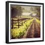 The New Vintage-Lance Kuehne-Framed Photographic Print