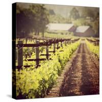 The New Vintage-Lance Kuehne-Stretched Canvas