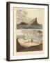 The New Volcanic Island on the Mediterranean Sea, Two Months Later-null-Framed Giclee Print