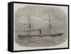 The New West India Steam-Packet Neva-Edwin Weedon-Framed Stretched Canvas