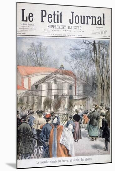 The New Wildcat House at the Jardin Des Plantes, Paris, 1895-Oswaldo Tofani-Mounted Giclee Print