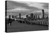 The New York City Skyline-Gary718-Stretched Canvas