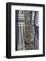 The New York Taxi-kropic-Framed Photographic Print