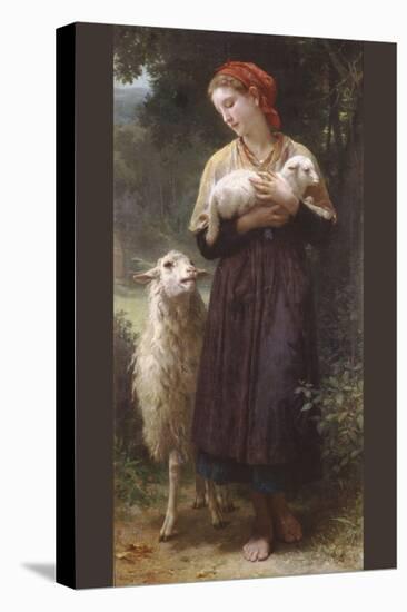 The Newborn Lamb-William Adolphe Bouguereau-Stretched Canvas
