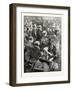 The Newfoundland Delegates at the Bar of the House of Lords-null-Framed Giclee Print